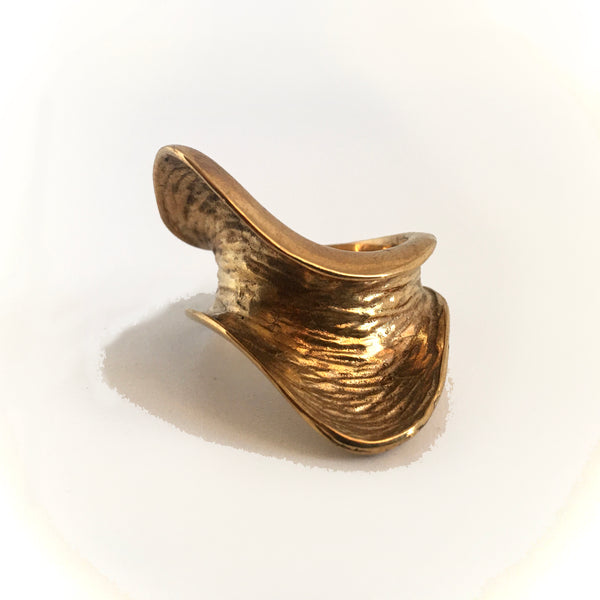 Anillo Elipse