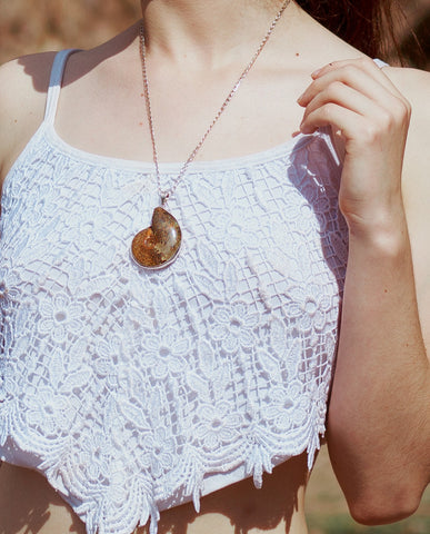 Collar Amonita