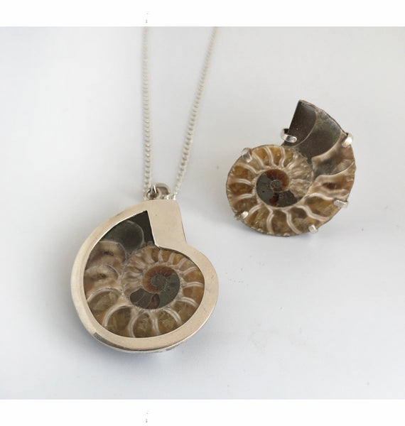 Anillo Amonita