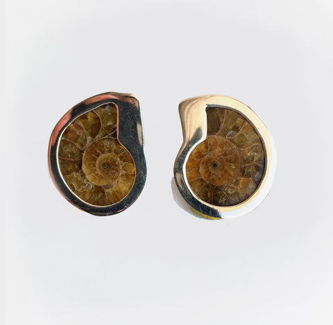 Aretes Amonita